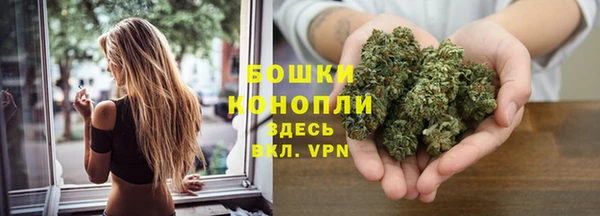 винт Коряжма