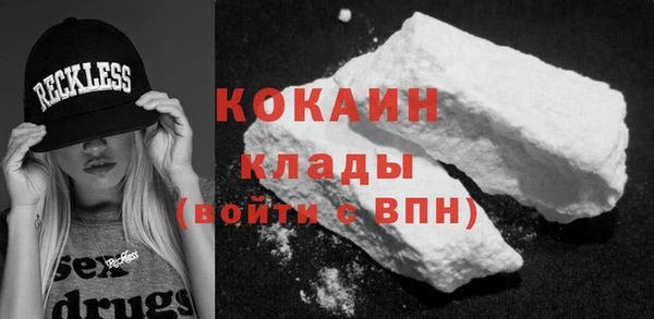 прущие грибы Корсаков