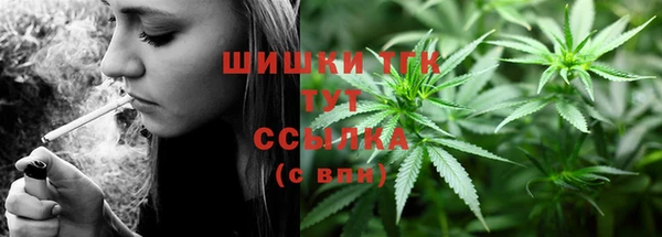 прущие грибы Корсаков
