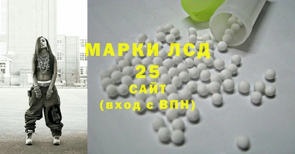 прущие грибы Корсаков