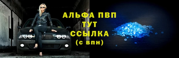 прущие грибы Корсаков