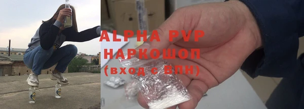прущие грибы Корсаков