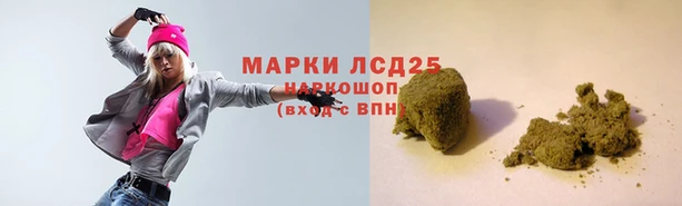 прущие грибы Корсаков