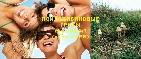 ГАЛЛЮЦИНОГЕННЫЕ ГРИБЫ Костерёво