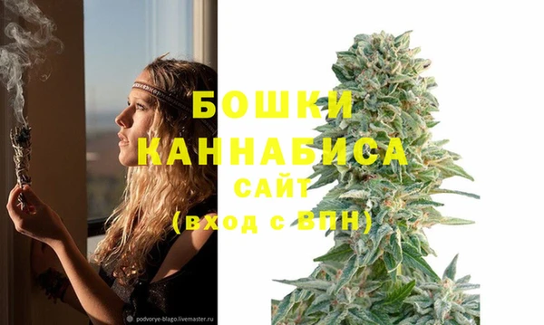 винт Коряжма