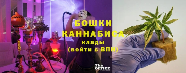 ГАЛЛЮЦИНОГЕННЫЕ ГРИБЫ Костерёво