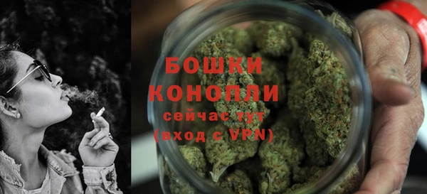 ГАЛЛЮЦИНОГЕННЫЕ ГРИБЫ Костерёво