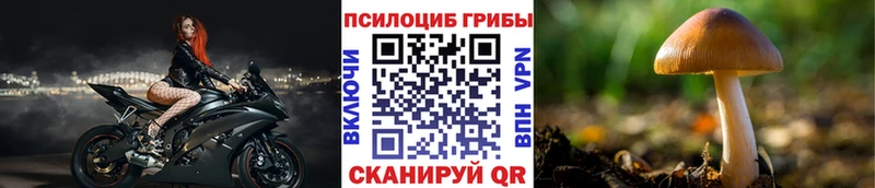 Купить где Лахденпохья Псилоцибиновые грибы прущие грибы